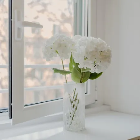 Πανσιόν Domus Aeterna - Re Di Ρώμη