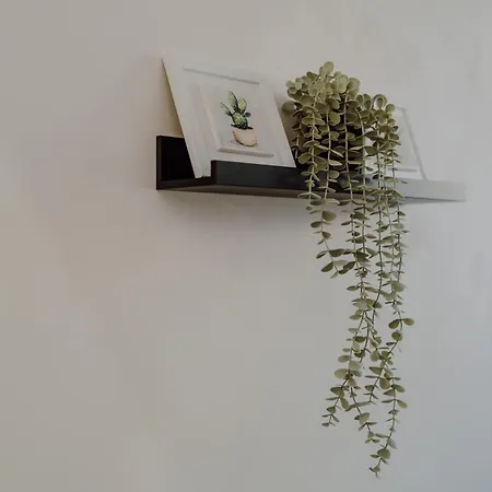 Πανσιόν Domus Aeterna - Re Di 4*