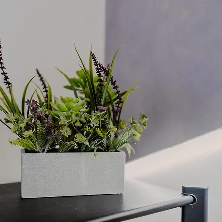 Domus Aeterna - Re Di Πανσιόν Ρώμη